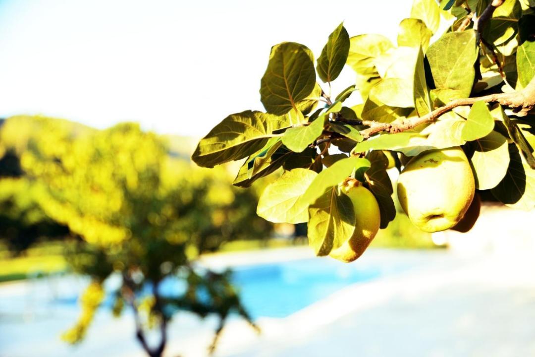 Pir Efes Konaklari İzmir Exterior foto